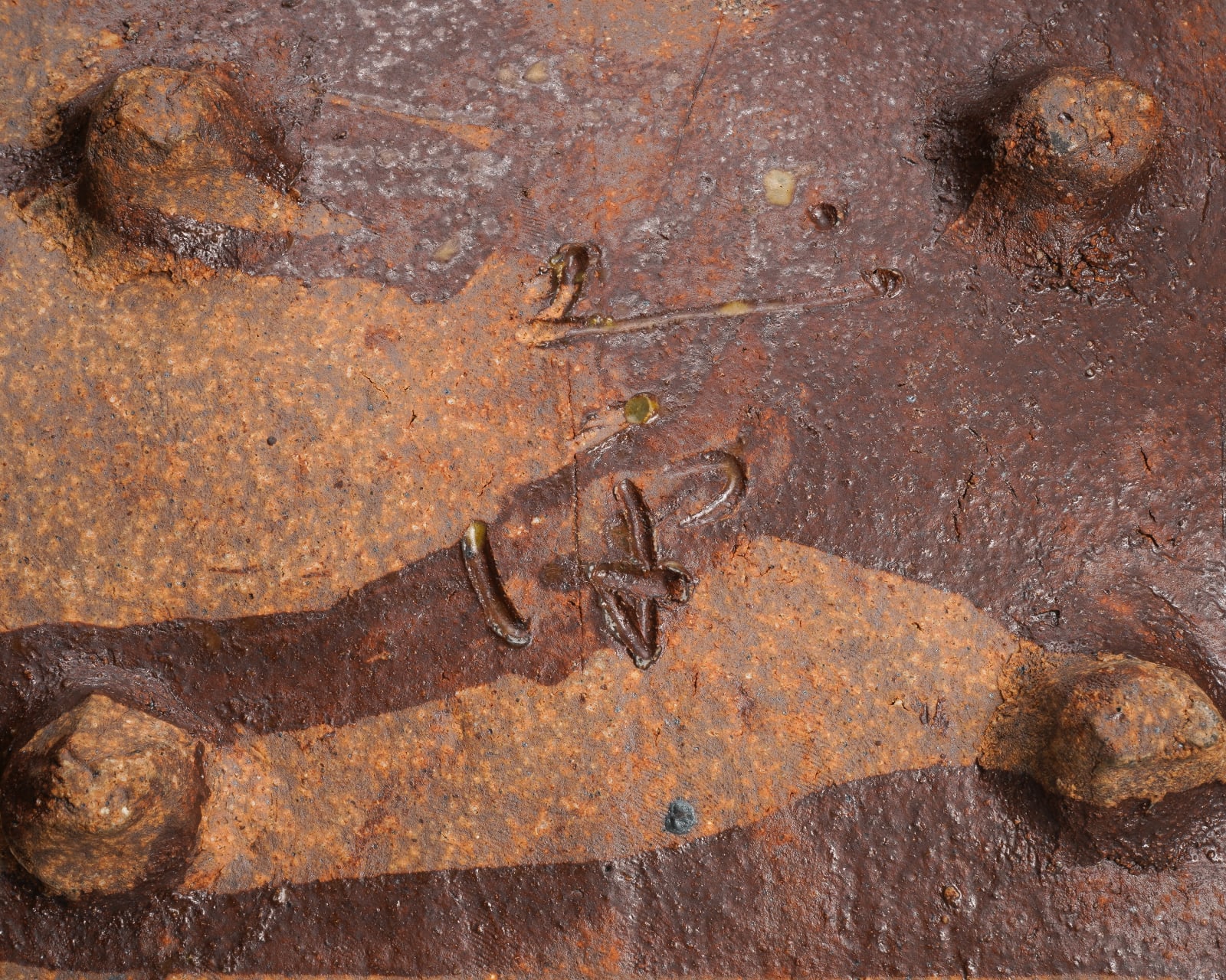 Tsuboshima Dohei 坪島 圡平, Decorated plate with gold glaze, Musashino motif, 1989's