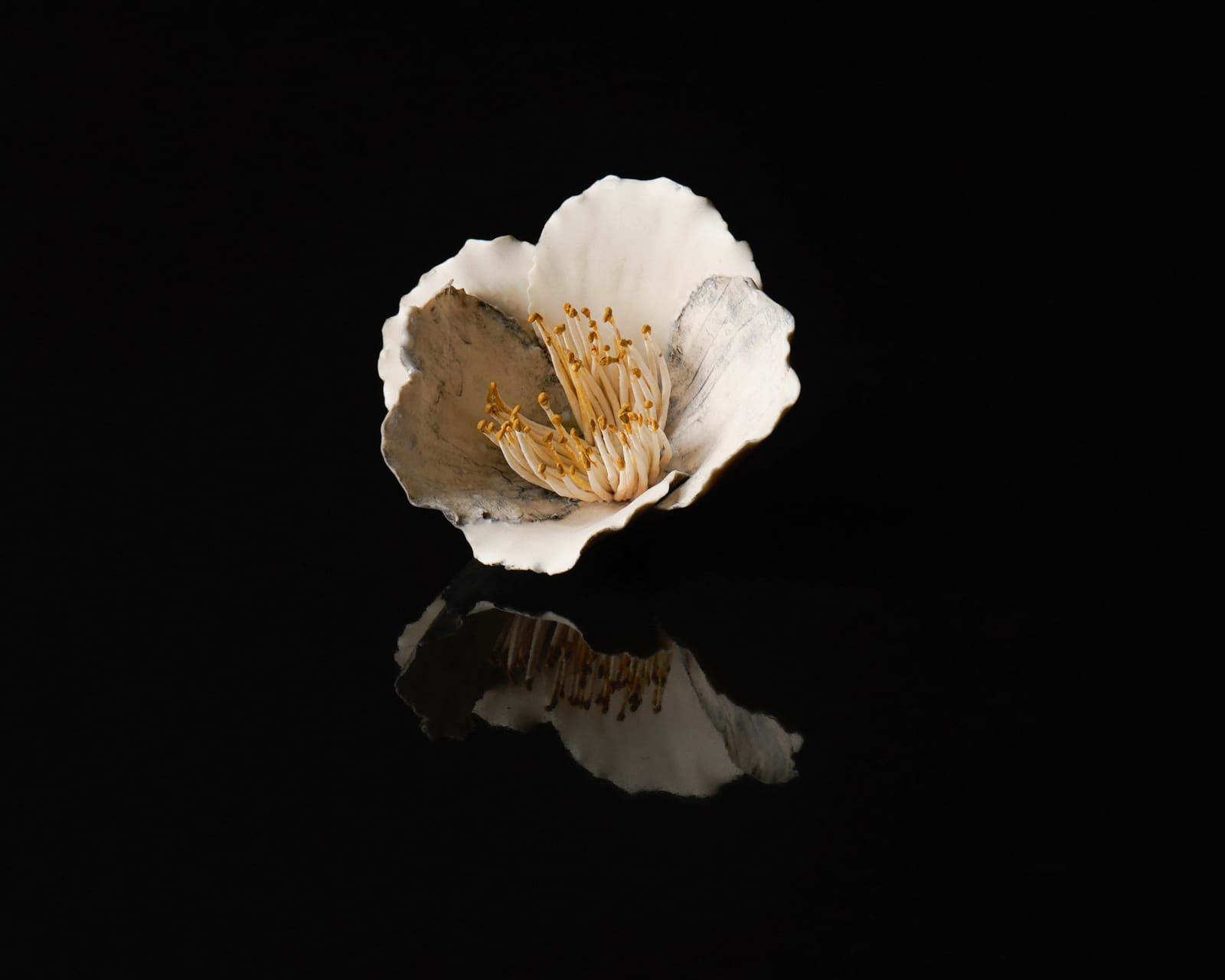 Shingu Sayaka 新宮さやか, No.7 White flower 花霙, 2023