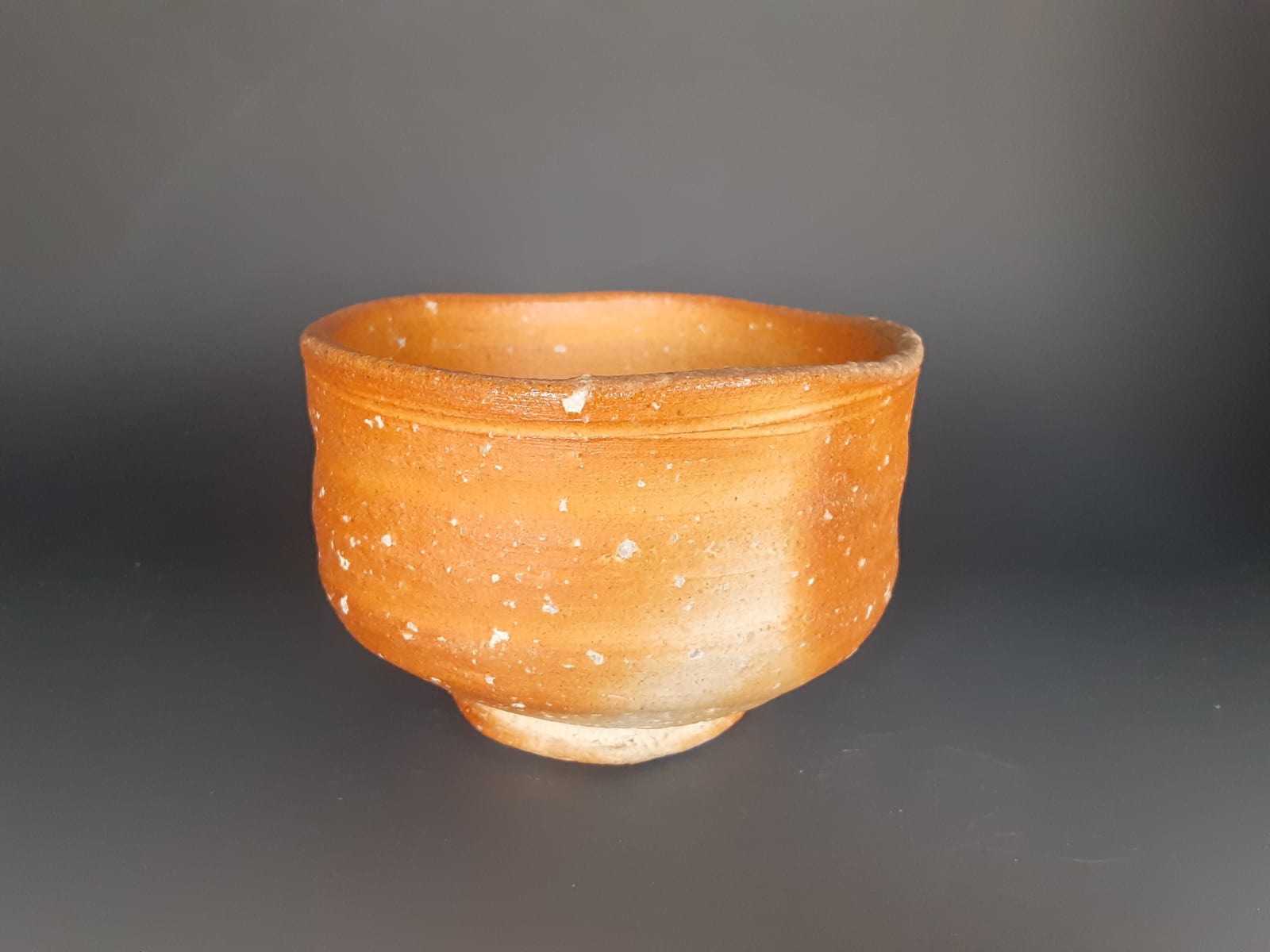 Takahashi Rakusai 高橋楽斎, Shigaraki Teabowl 信楽茶碗