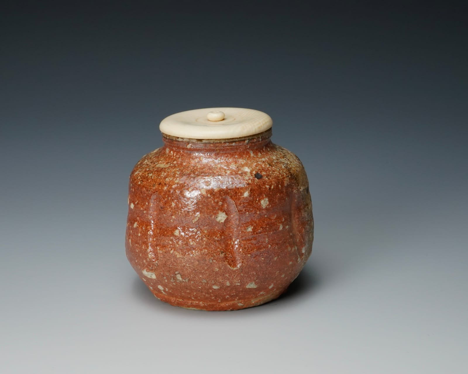 Takahashi Rakusai IV 四代高橋楽斎, Shigaraki Tea Caddy 信楽茶入