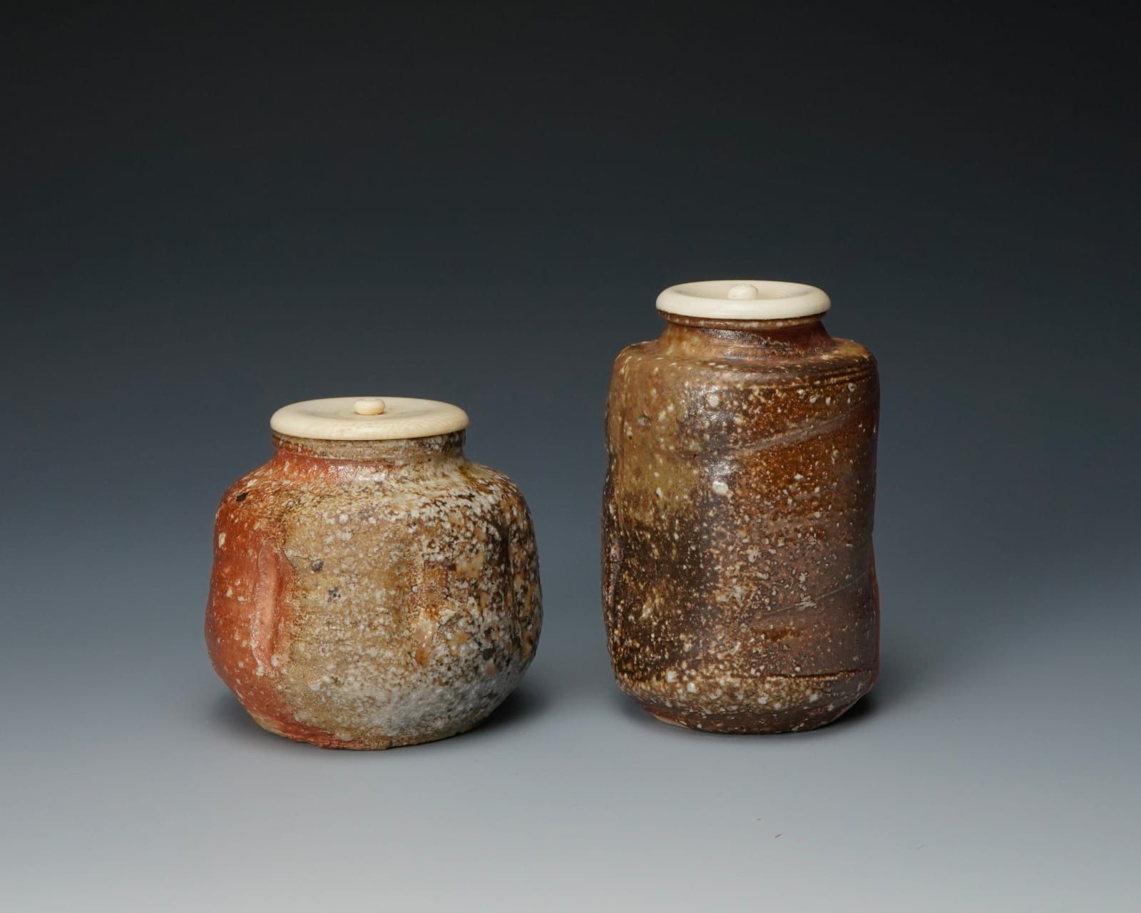 Takahashi Rakusai IV 四代高橋楽斎, Shigaraki Tea Caddy 信楽茶入