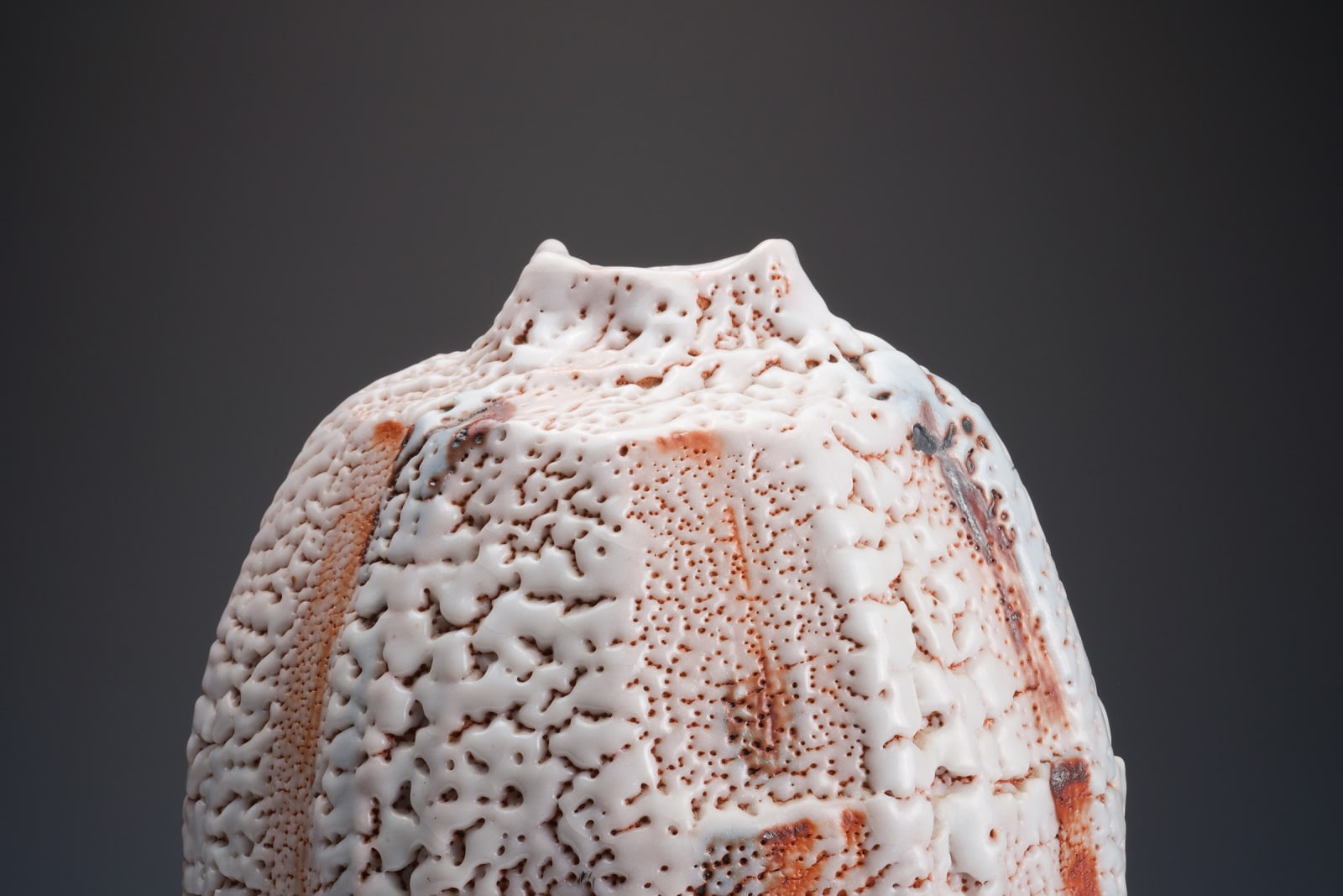 Hayashi Shotaro 林正太郎, Shino jar