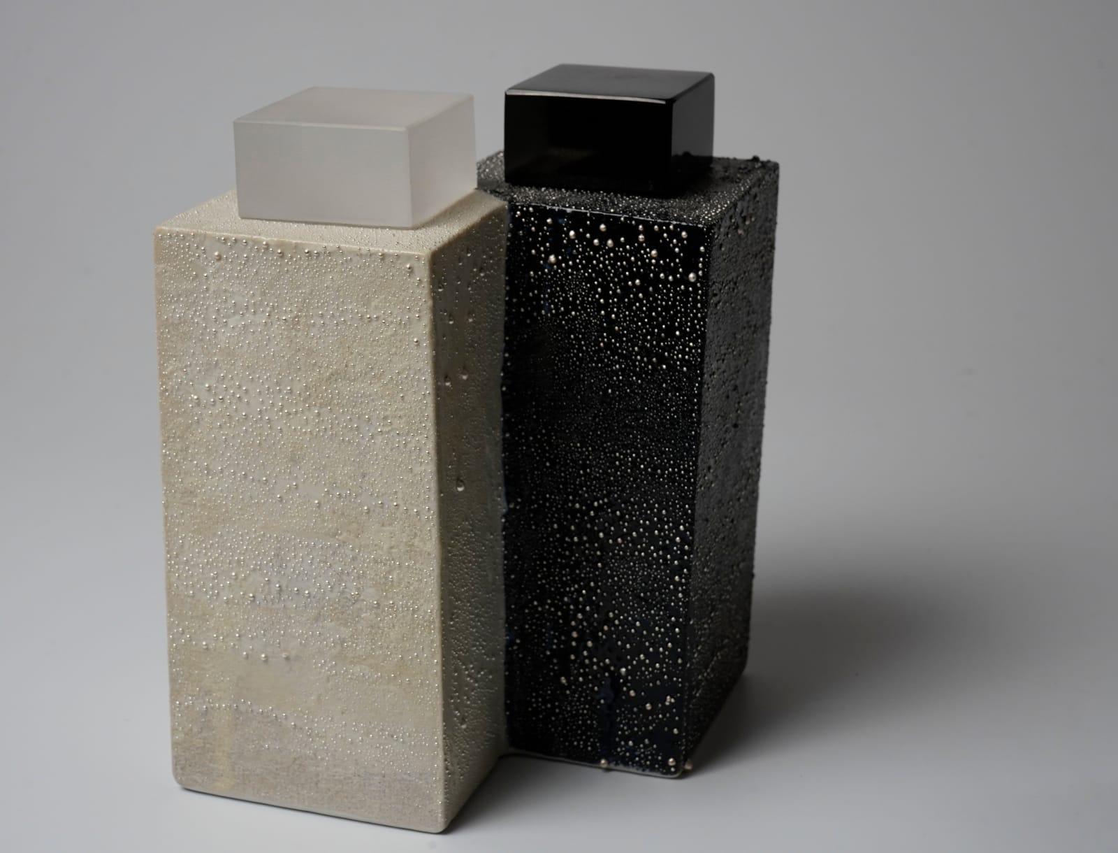 Kondo Takahiro 近藤 高弘, Black and white mist, 銀滴『白黒ミスト』