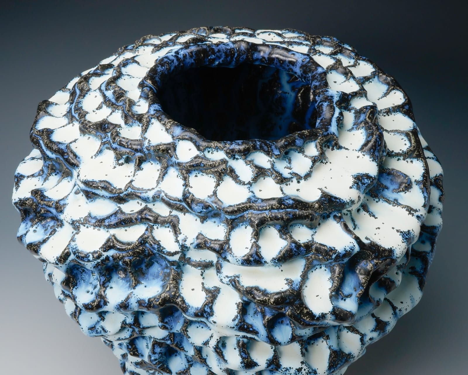 Hoshino Satoru 星野暁, No.3 Spring Snow 春の雪, 2017