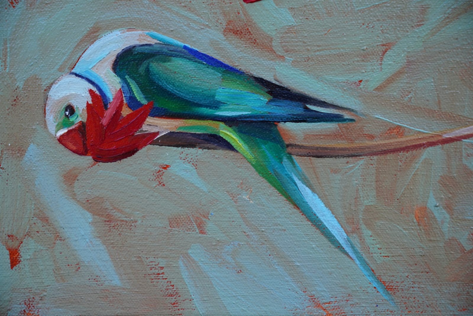 Malabar Parakeets , 2025