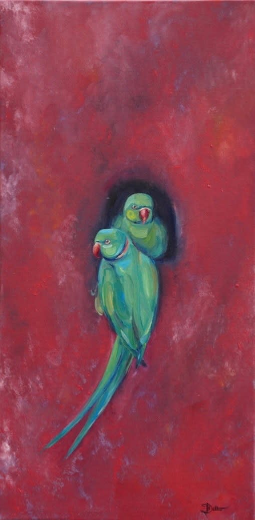 Rose-ringed Parakeets, 2025