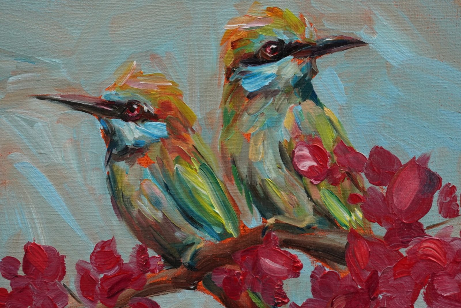 Green Bee-eaters, 2025