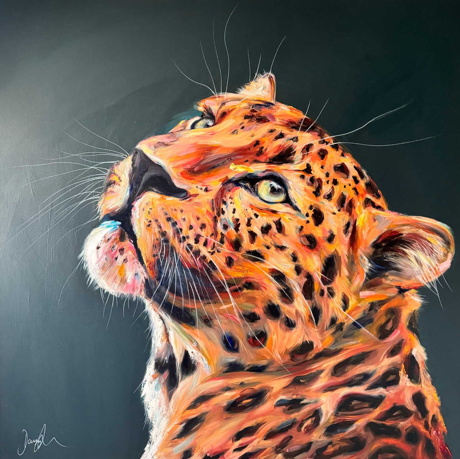 The African Leopard, 2023