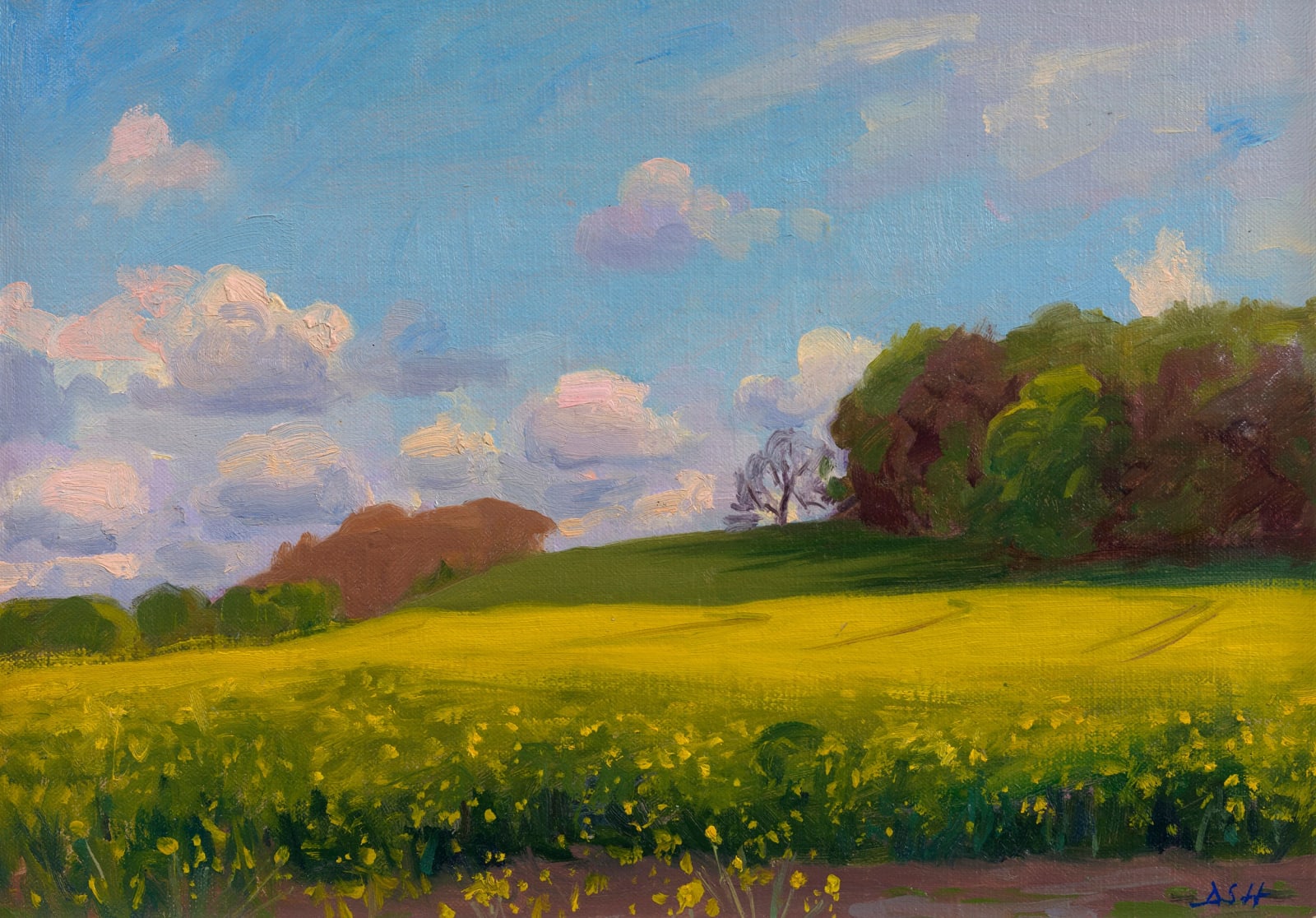 Daisy Sims Hilditch, Spring landscape, Stockton, 2024