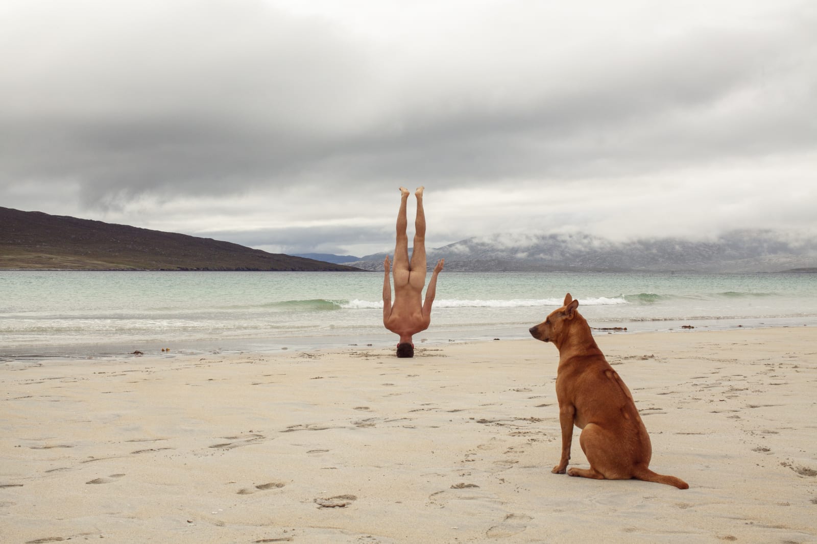 Matthew Hyndman, A man and his dog (12 inches), 2020