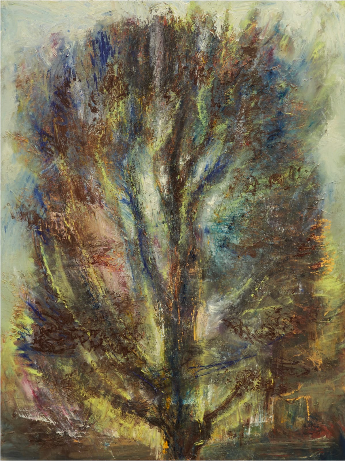 Celia Paul (b.1959), Copper Beech, Hampstead Heath, 2020