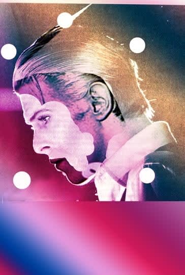 Vuk Vidor, Newton shot C, 2013