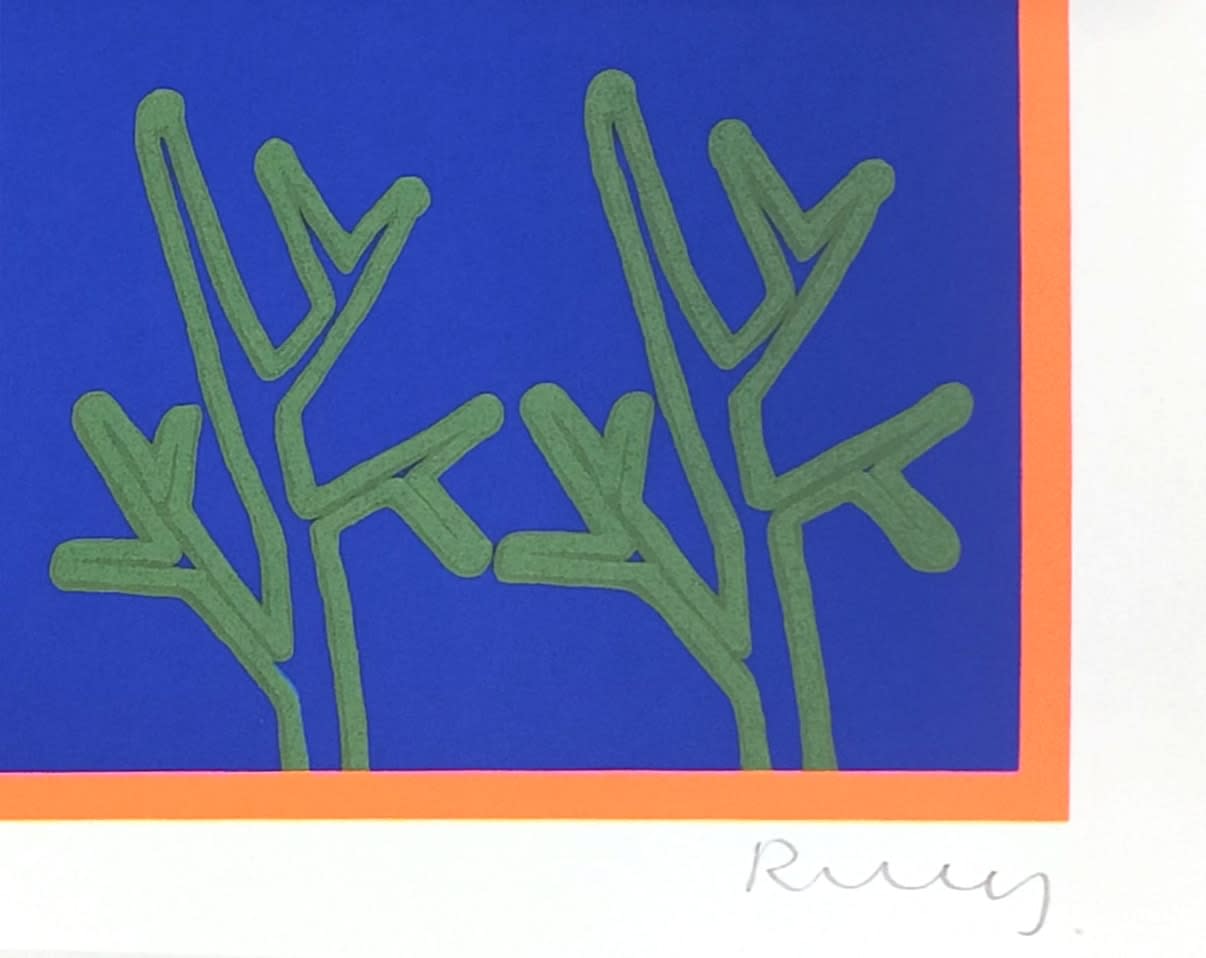 Wang Ruohan, Fu, 2017