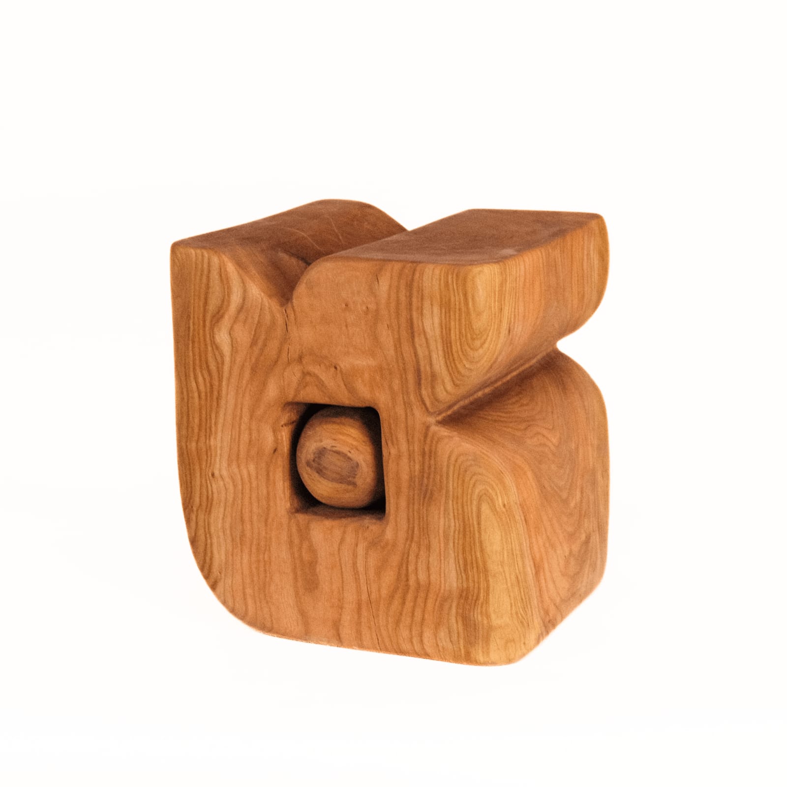 Saman & Sasan Oskouei, Blossom, 2024