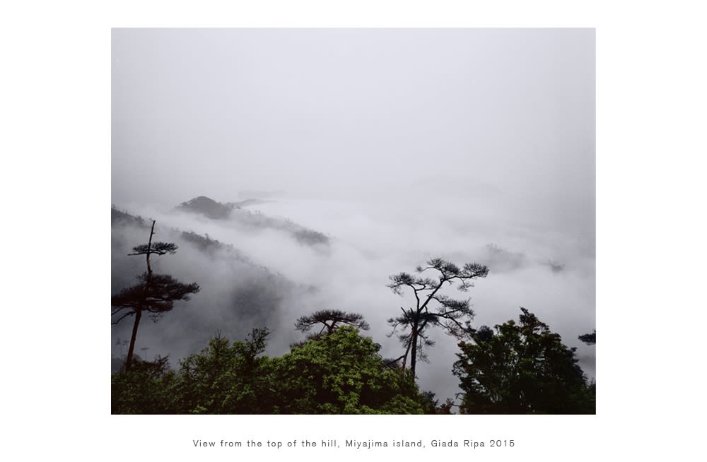 Giada Ripa, View from the top of the hill,Miyajima Island, 2015