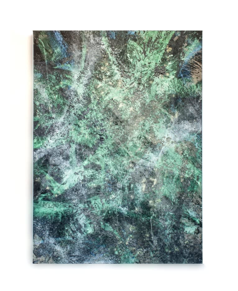 Niels 'Shoe' Meulman, Clairière, 2016