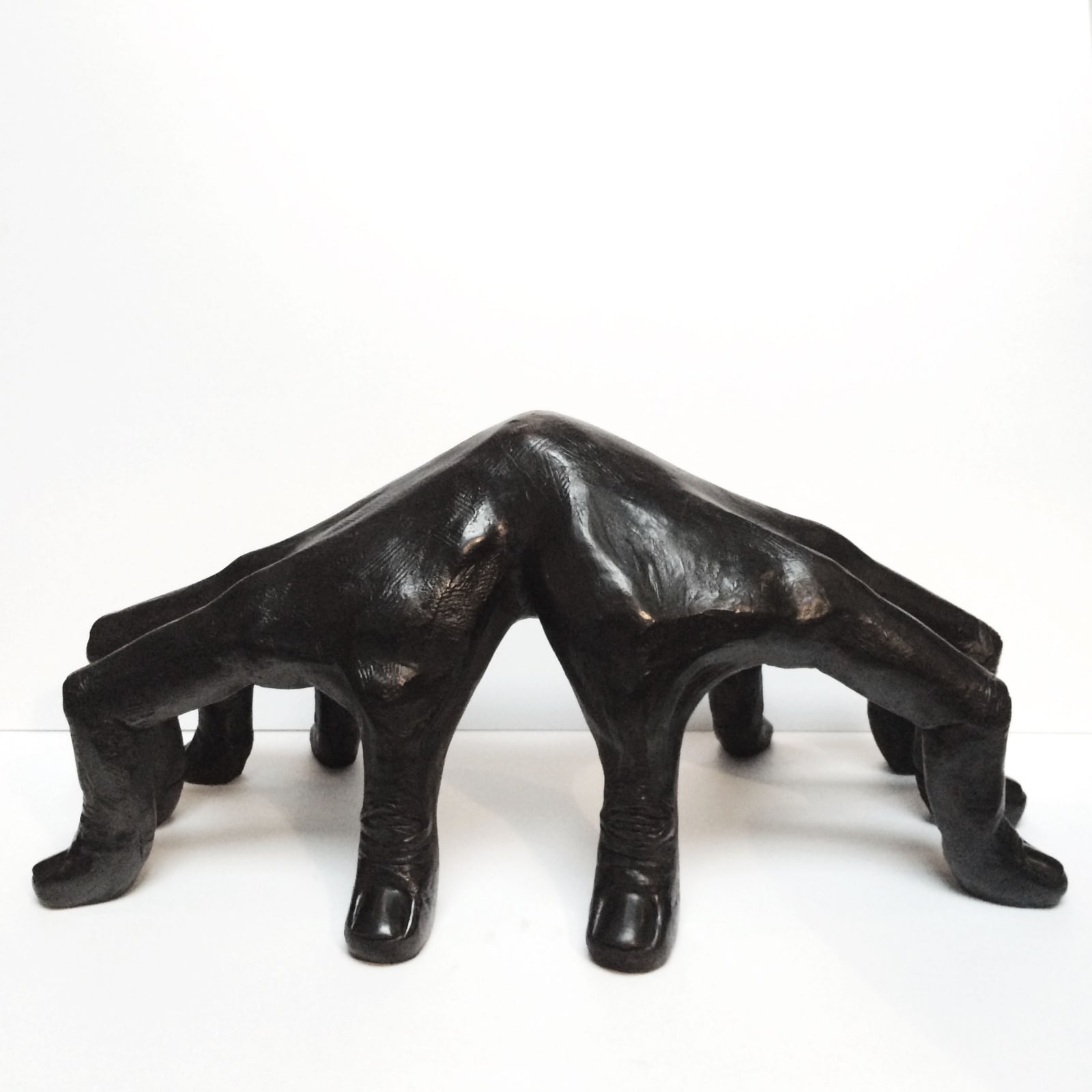 Prune Nourry, Duality Hands, 2014