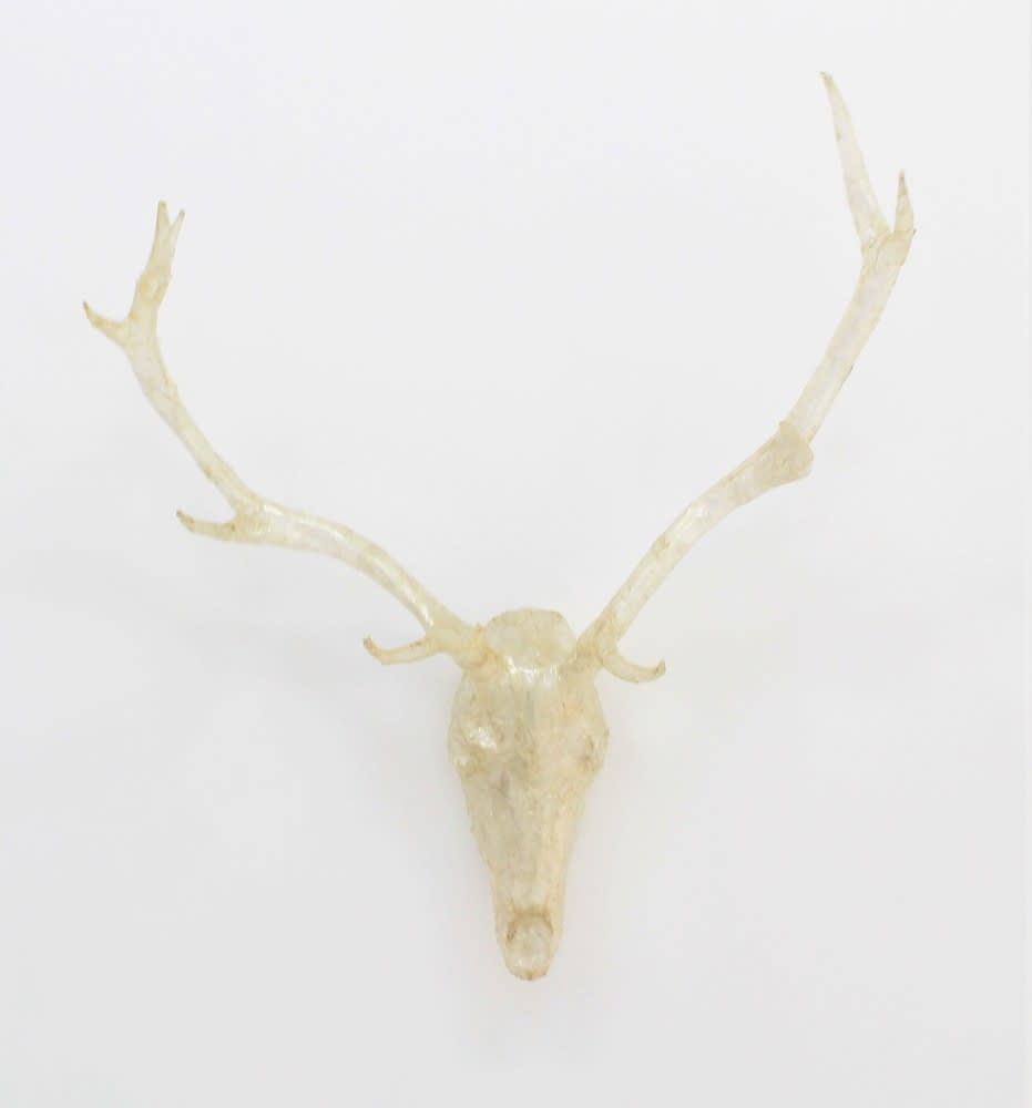 Mark Jenkins, Afterlife, 2006-2018