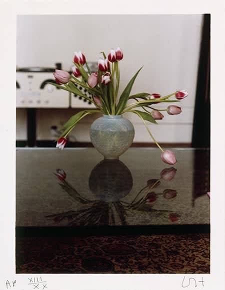 David Hockney, Pretty Tulips, 1970