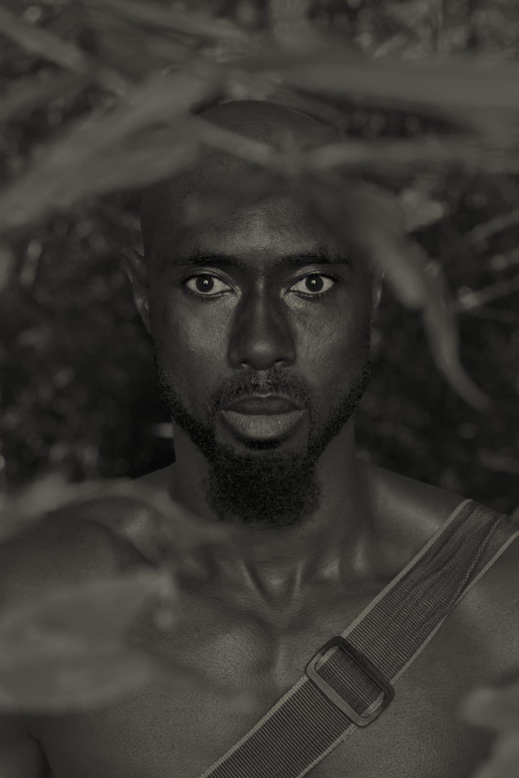 Erwin Olaf, Im Wald Porträt XIV , 2020