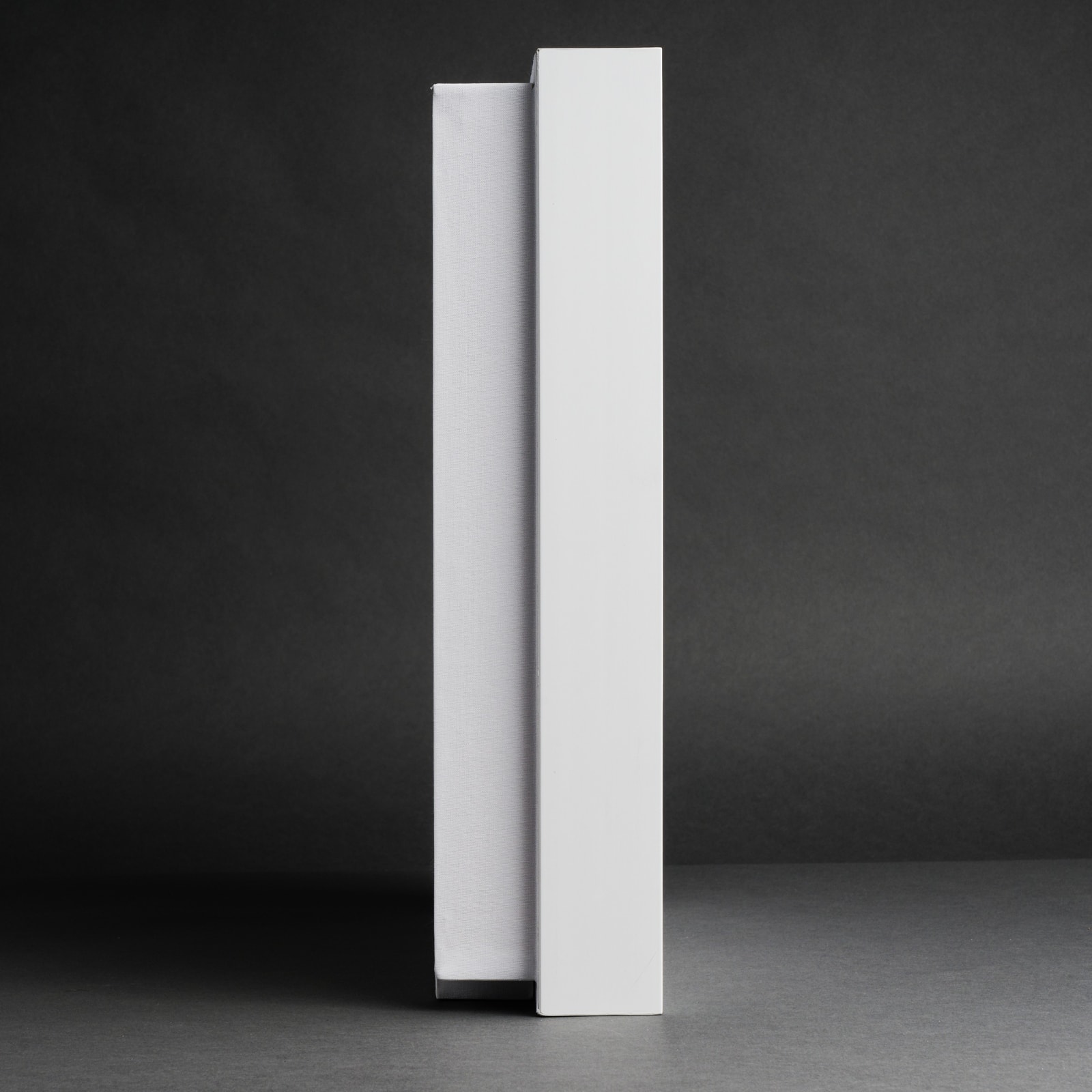 Charles Petillon, LOOGI, 2023