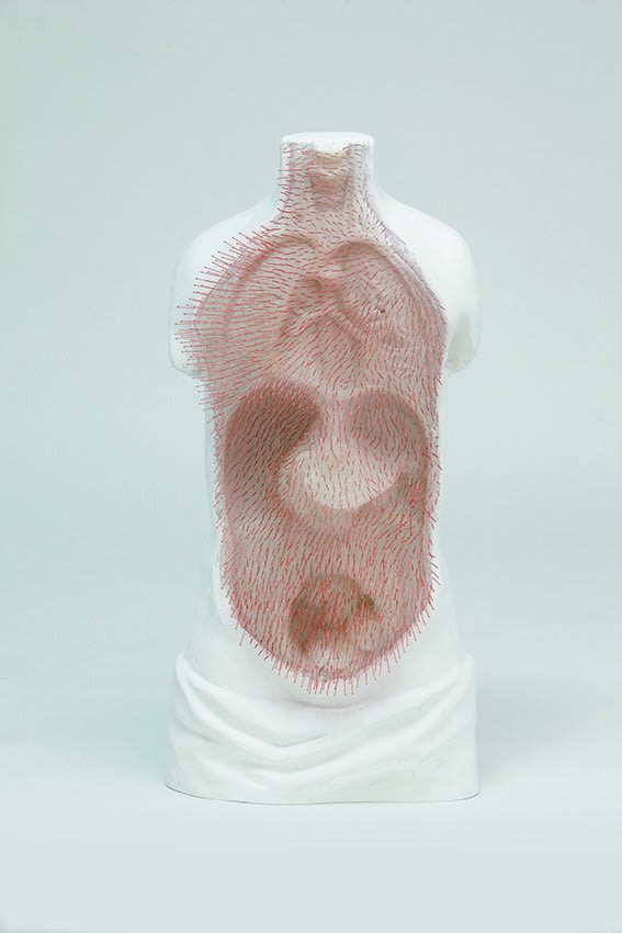 Prune Nourry, Anatomical Chest #1, 2016