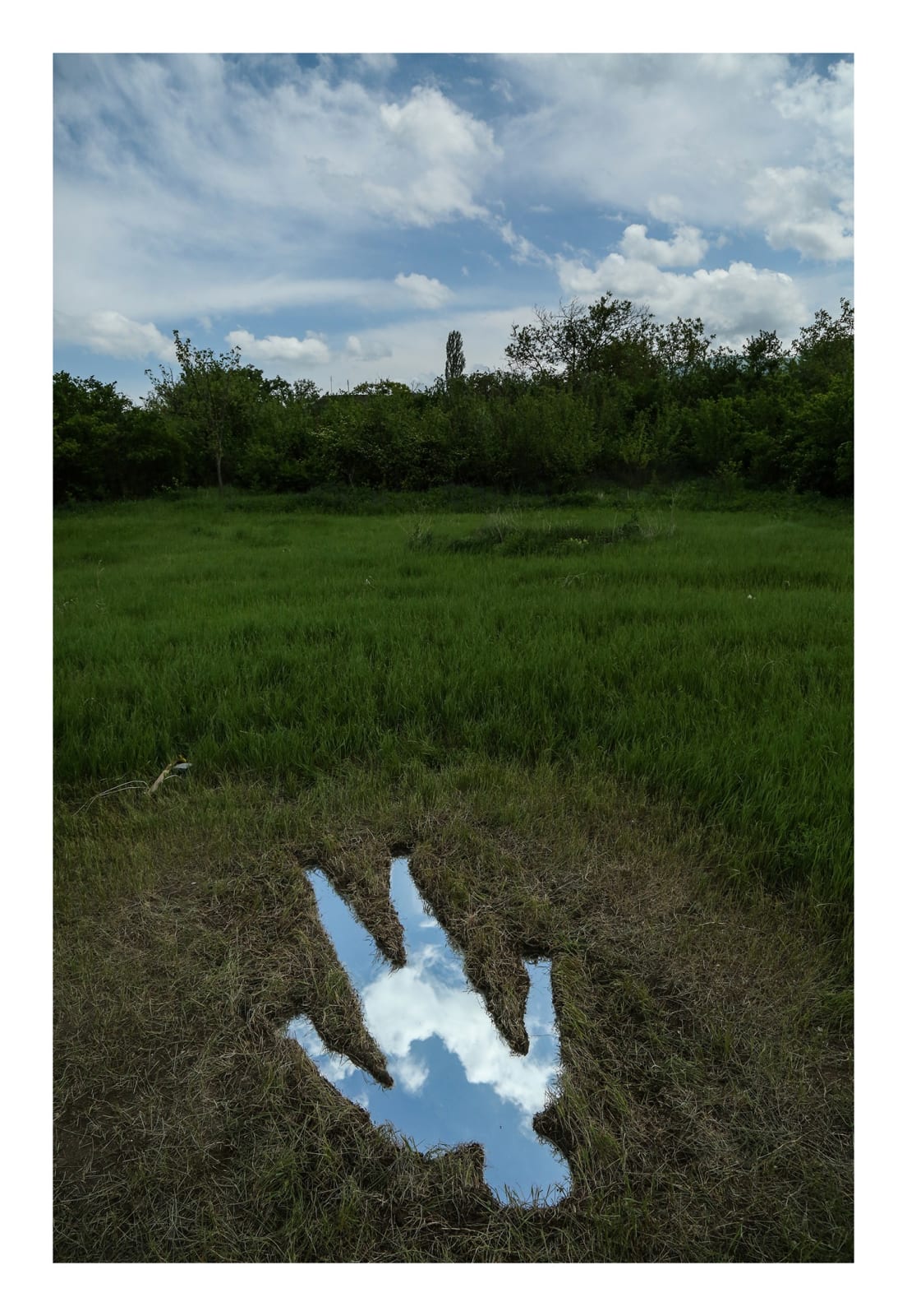 Saman & Sasan Oskouei, Nature's Reflection, 2017