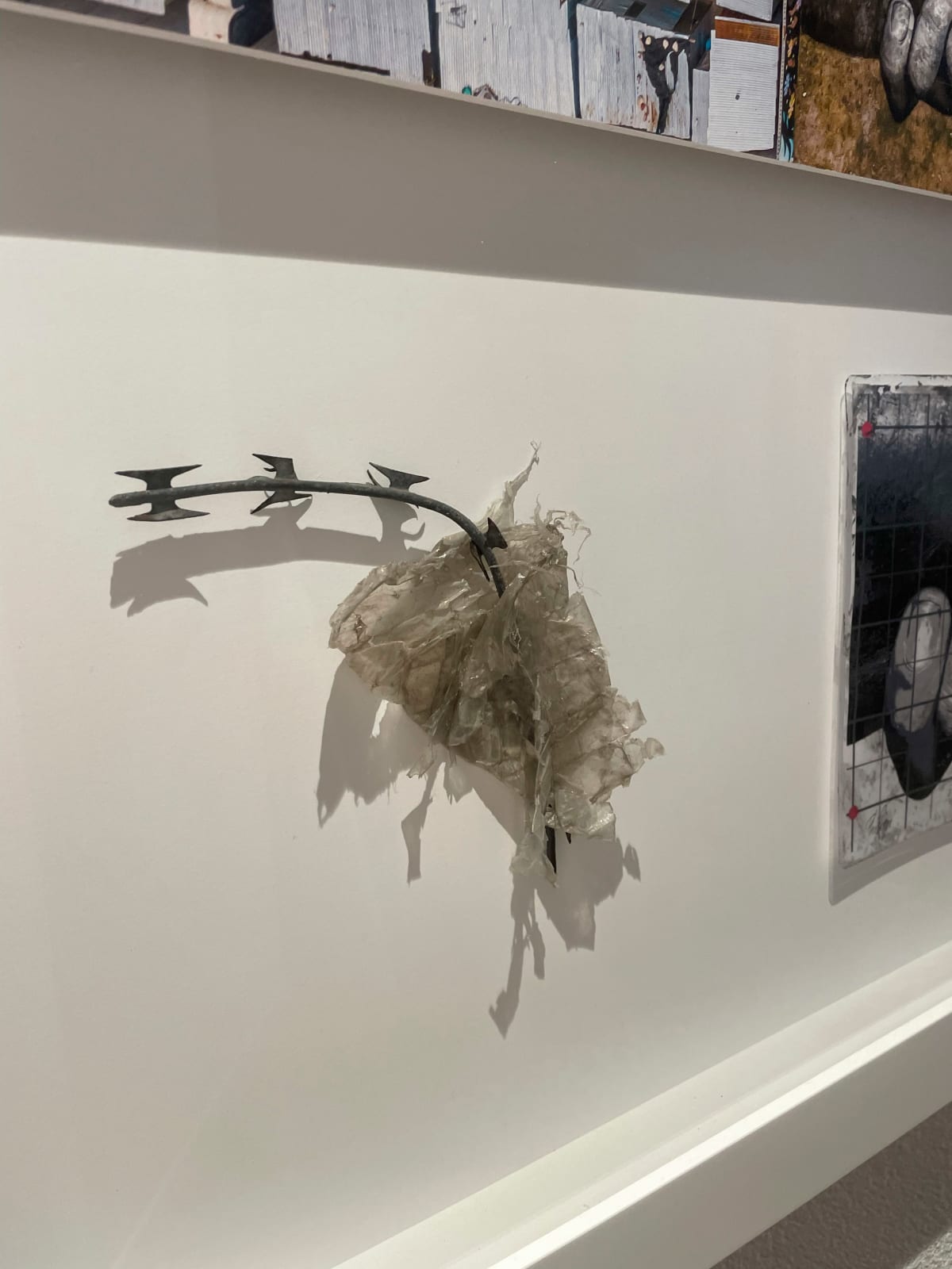 Saype, Beyond Walls, Step 9 : Cape Town, philippi (2021), 2021