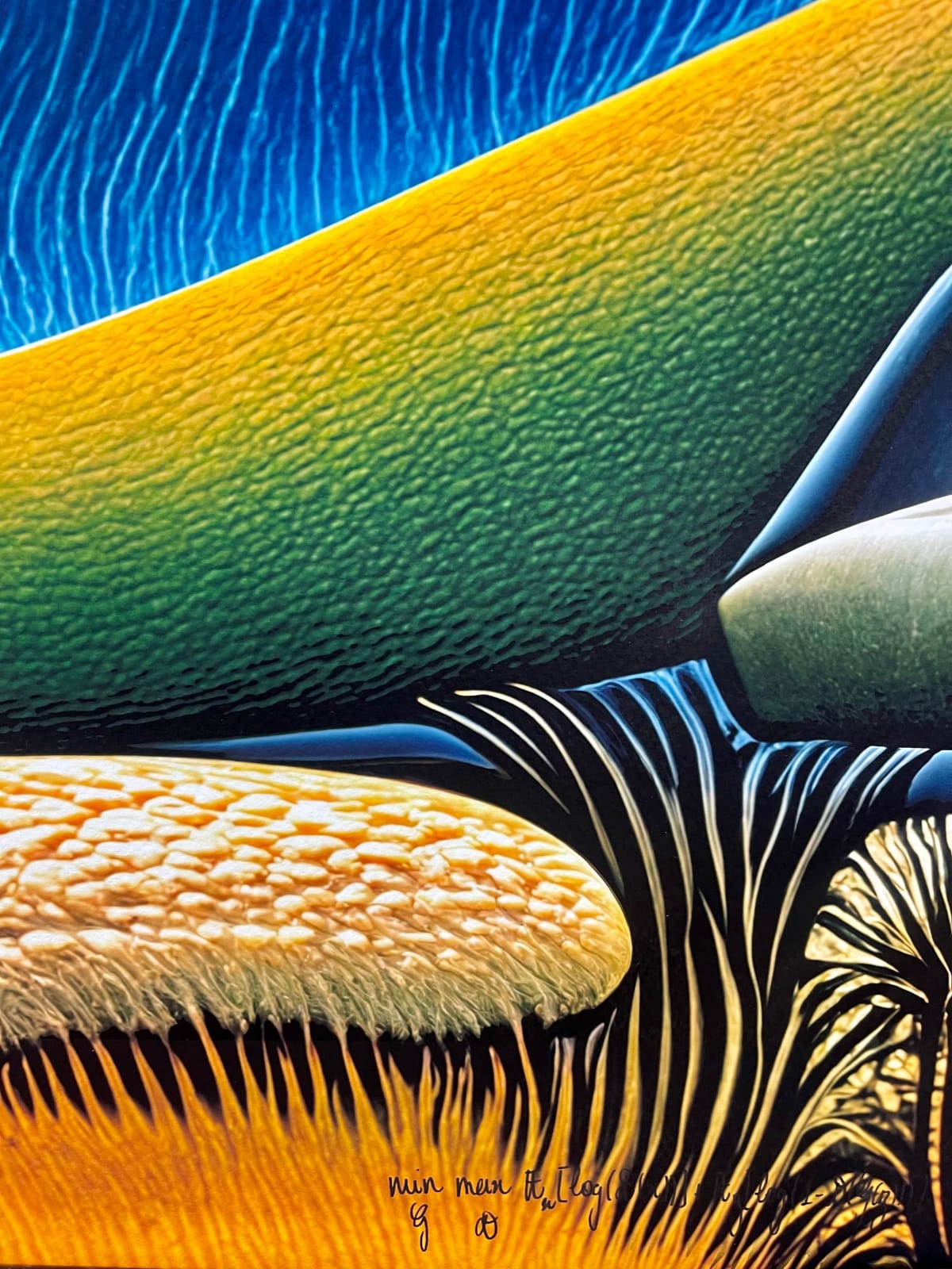 Obvious, Fungal Outgrowths, 2024