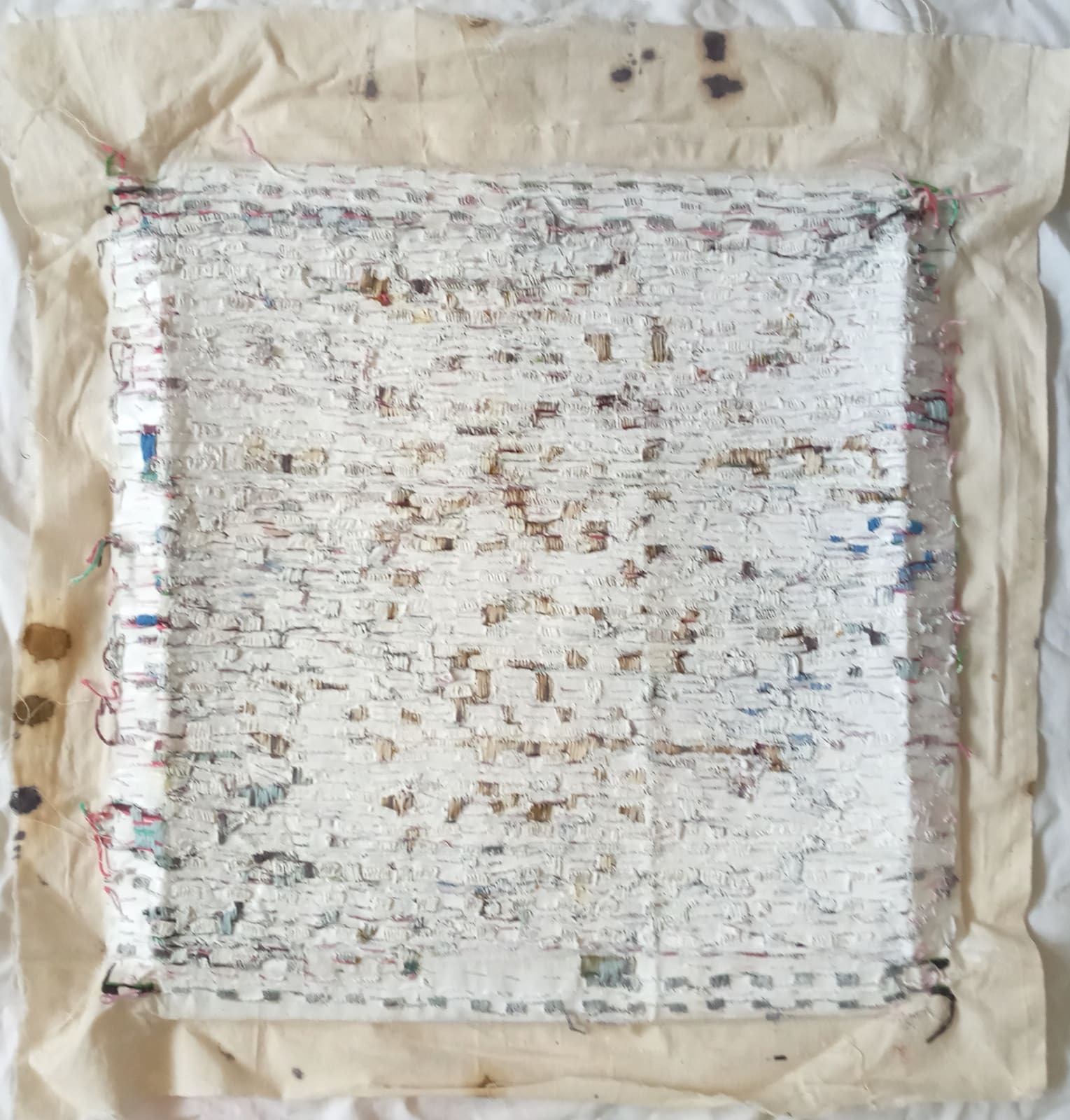 sandra beccarelli, Snowdrop, 2024