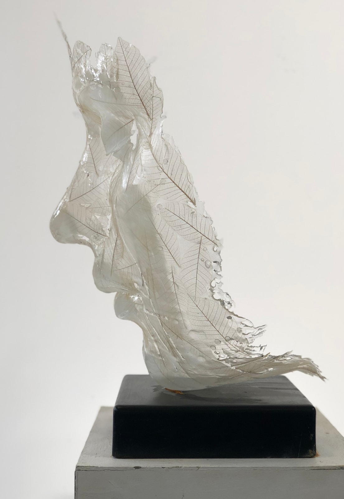 Fi Hunter, Leaf, 2022