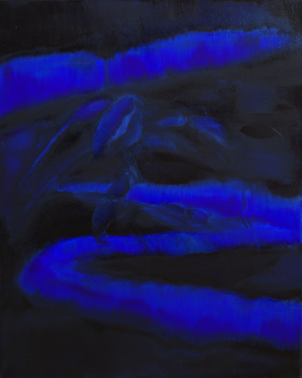 Shahrzad Jahan, Once in a Blue Moon, 2024