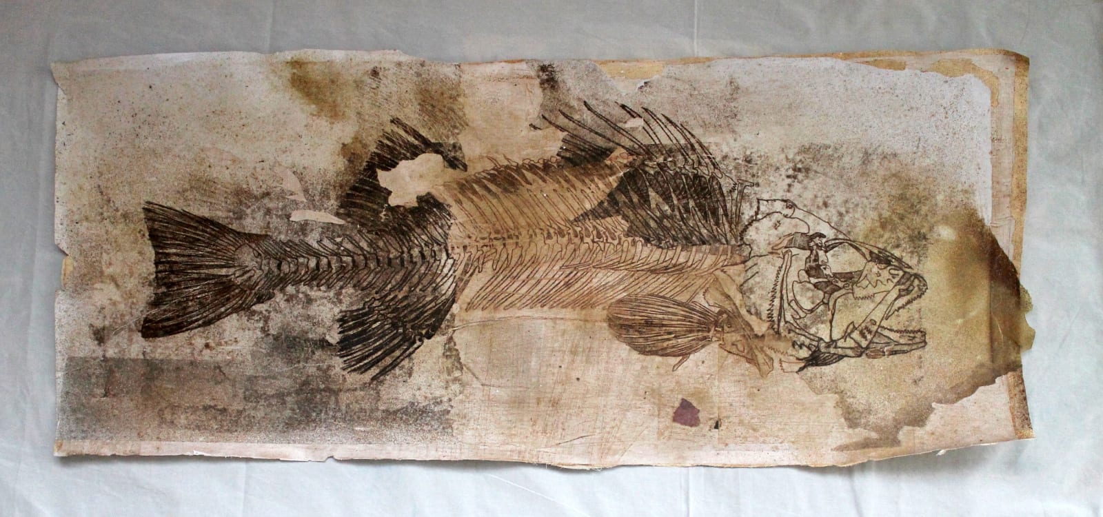 Kolsum Salehi, Untitled, 2015