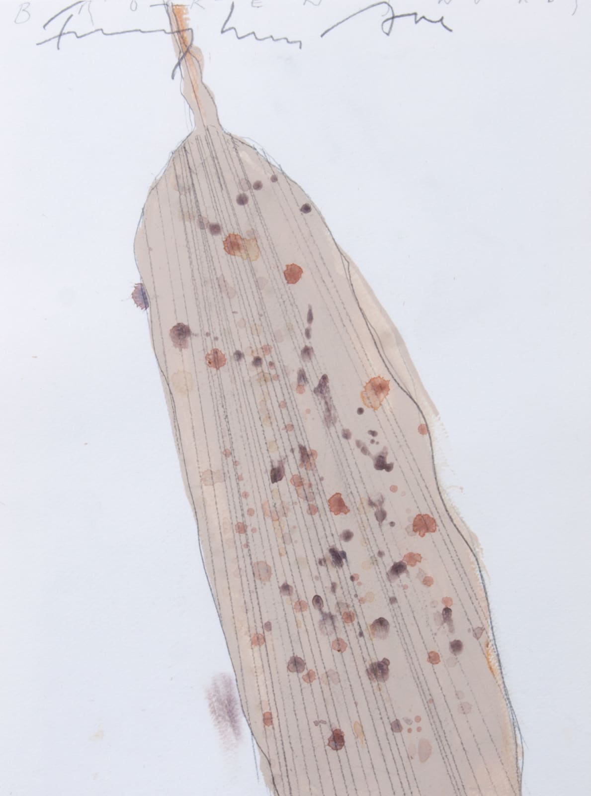 Fereydoun Ave, Untitled, 2018