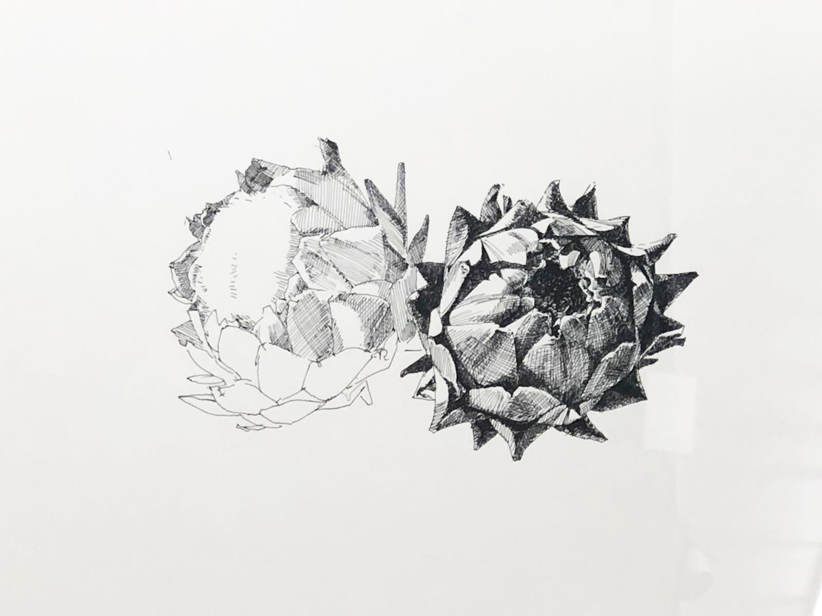 Bijan Saffari, Untitled