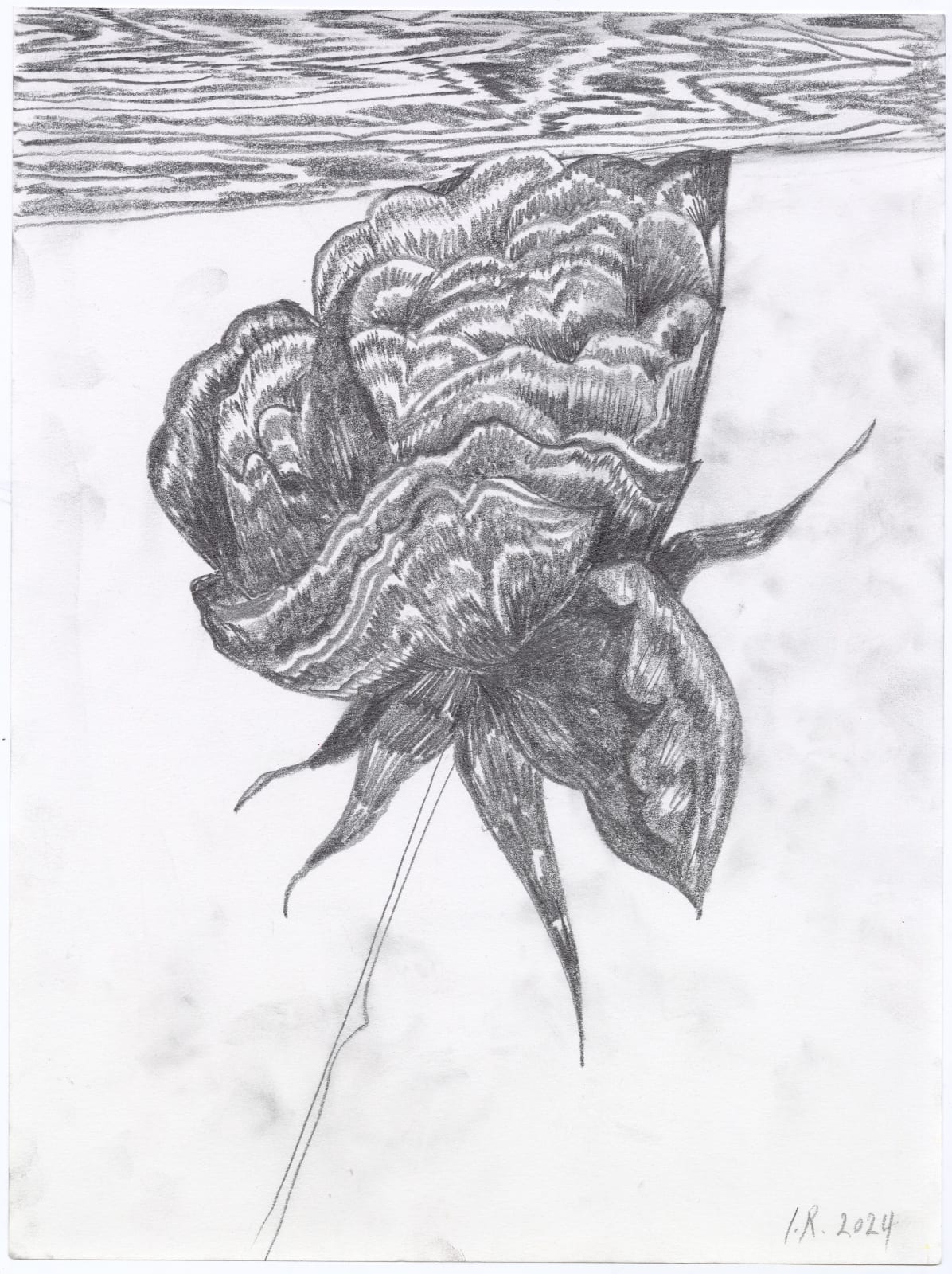 Iman Raad, Untitled, 2024