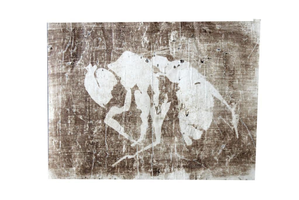 Kolsum Salehi, Untitled, 2020