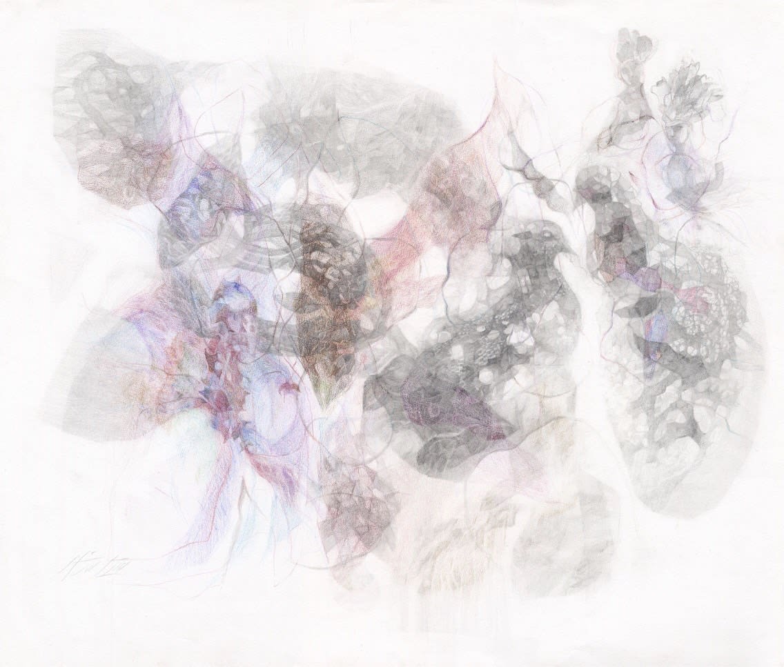 Shiva Shahla, Oriental Fancy, 2018