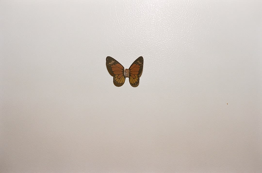 Alborz Kazemi, Untitled, 2016