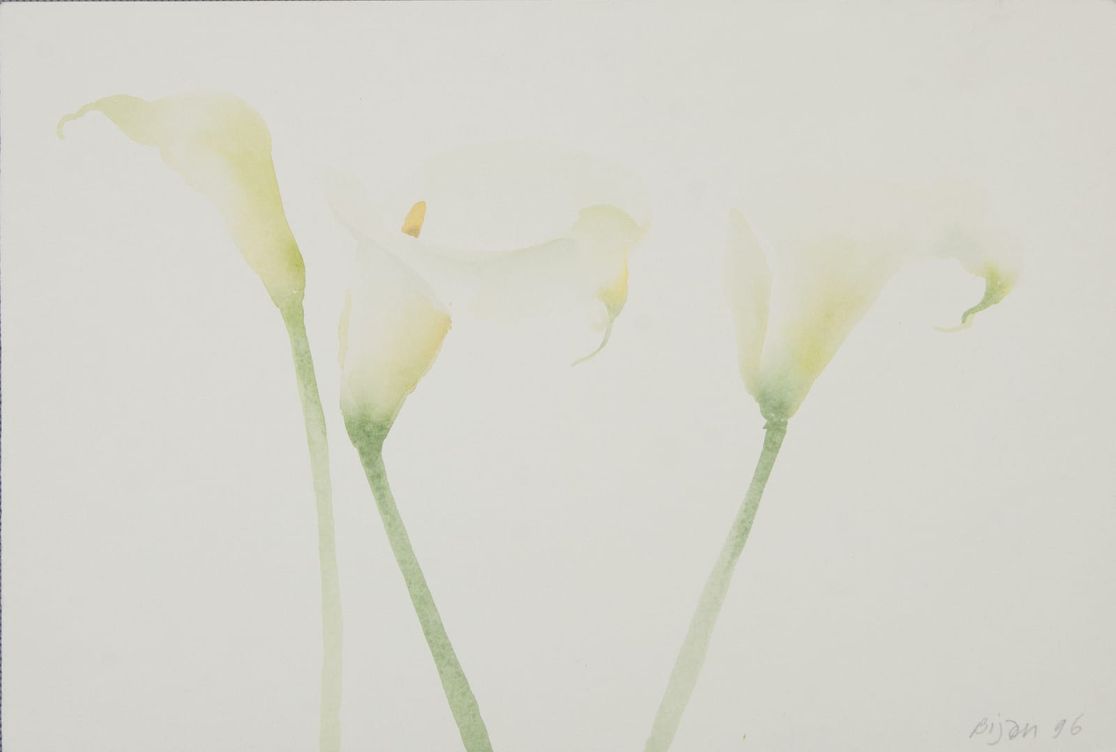 Bijan Saffari, Untitled, 1996