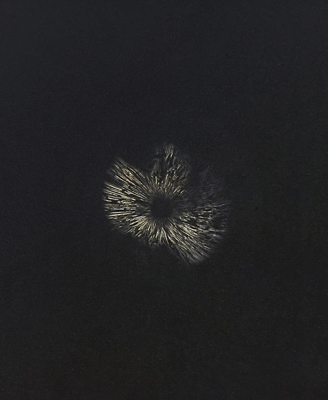 Kimia Kamvari, Untitled, 2017