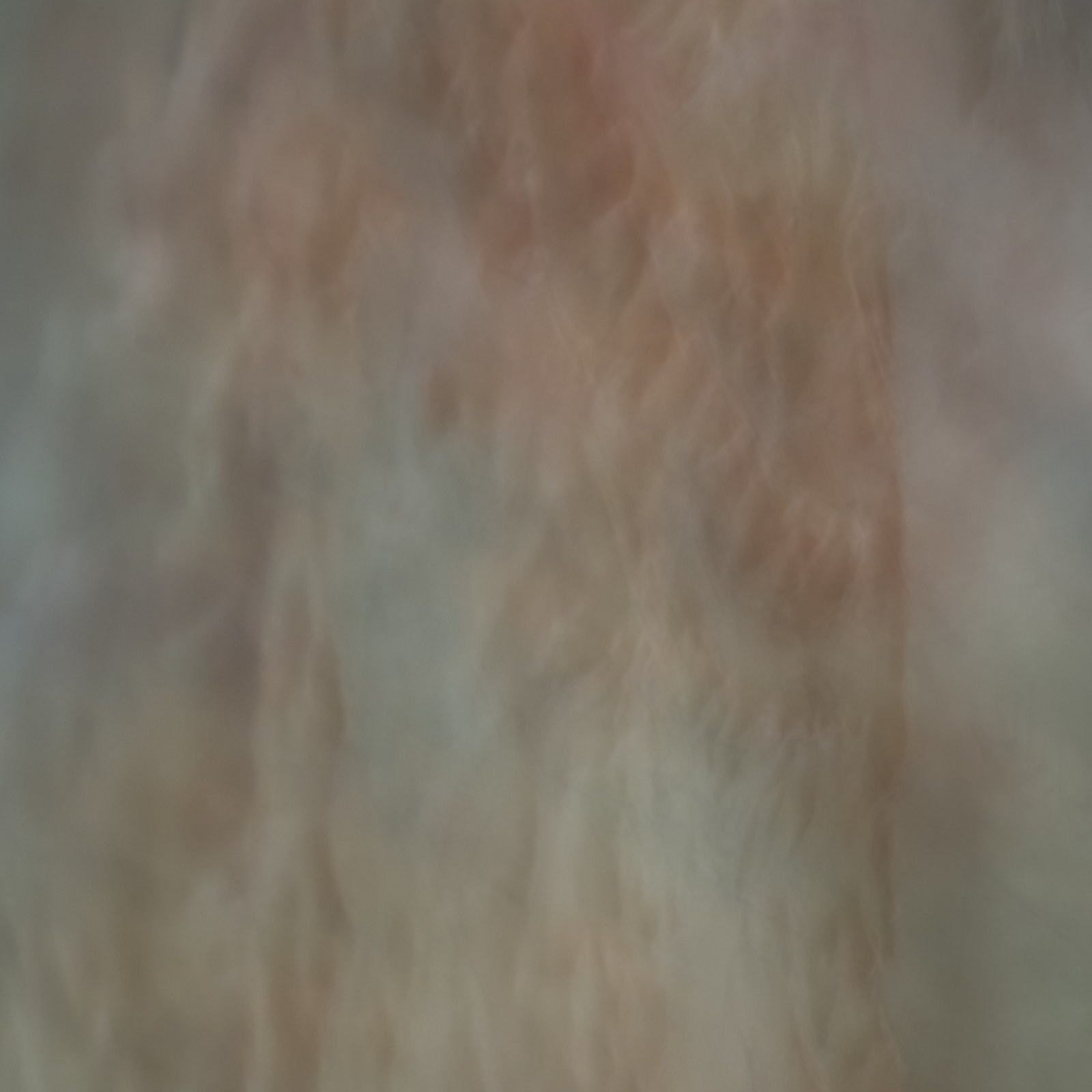 Mehran Mohajer, Untitled, 2018