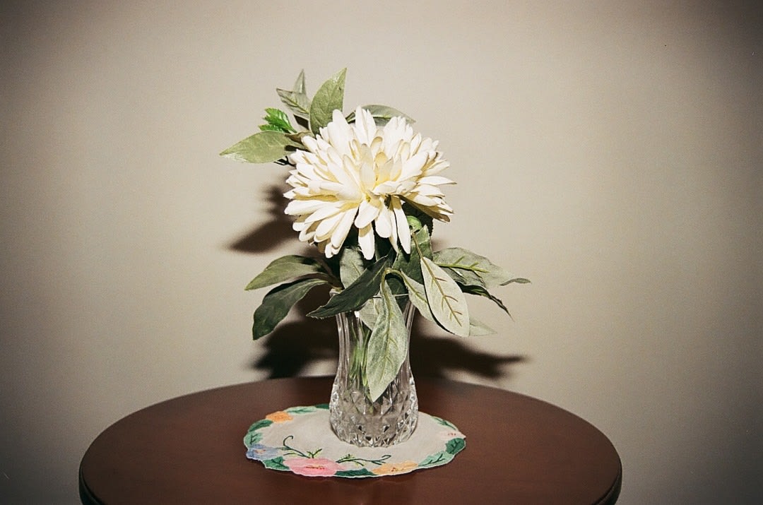 Alborz Kazemi, Untitled, 2016