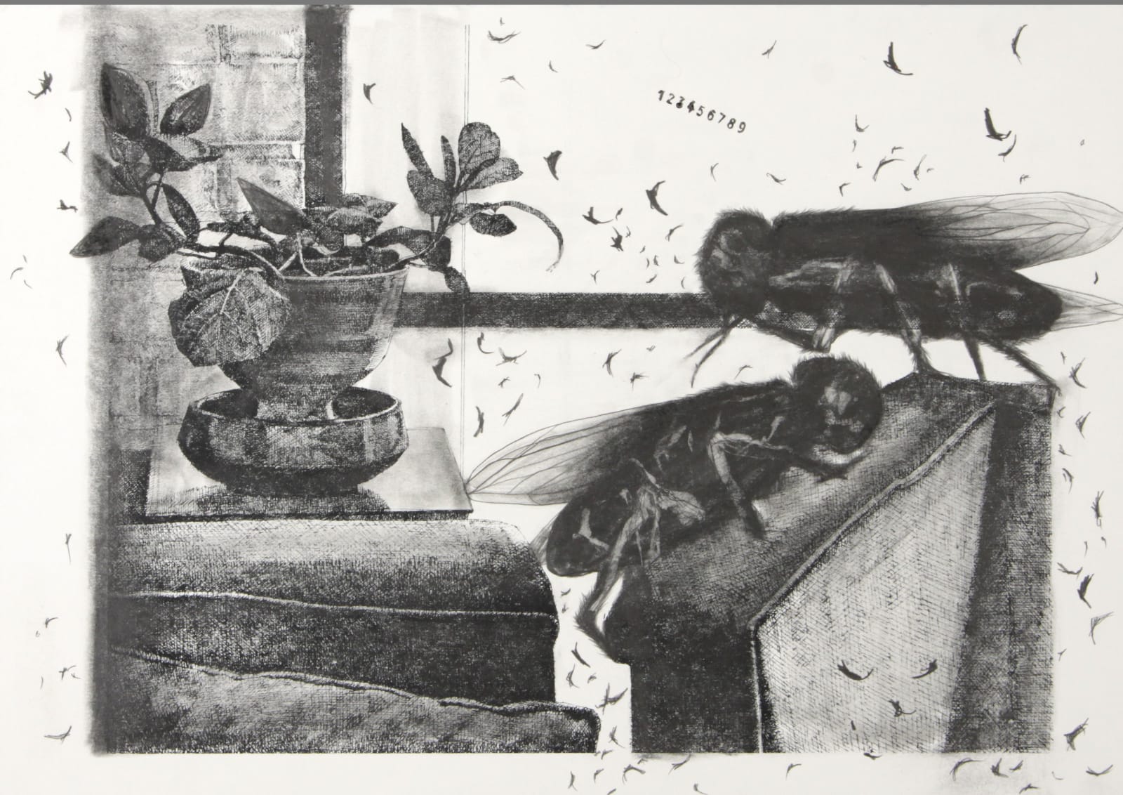 Sara Abbassian, Untitled, 2018