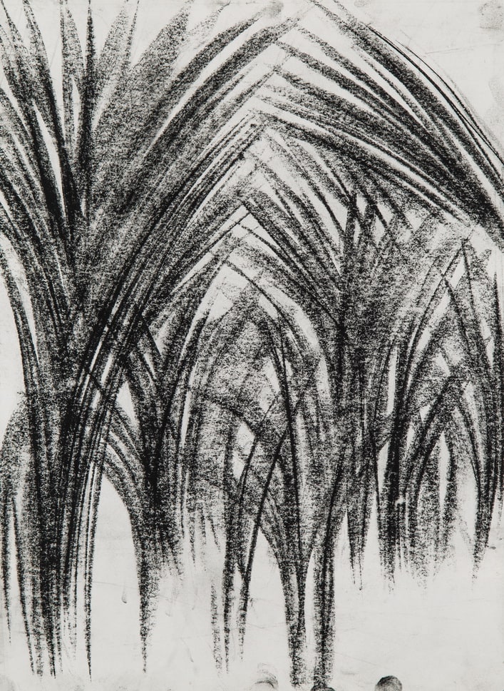 Atefeh Majidi Nezhad, Untitled, 2017