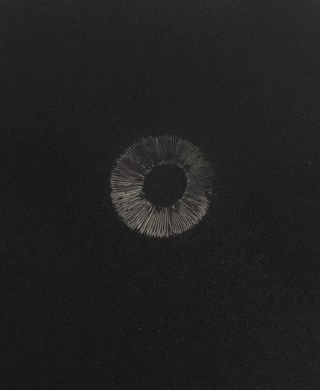 Kimia Kamvari, Untitled, 2017