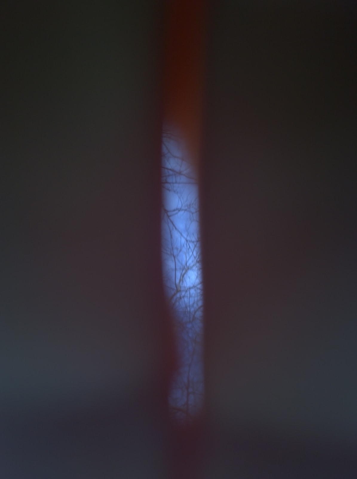 Mehran Mohajer, Untitled, 2017