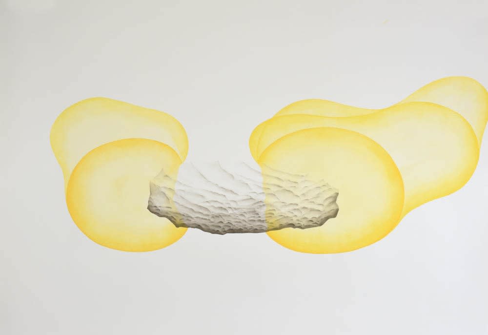 Nima Zaare Nahandi, Brahe's Dream, 2016