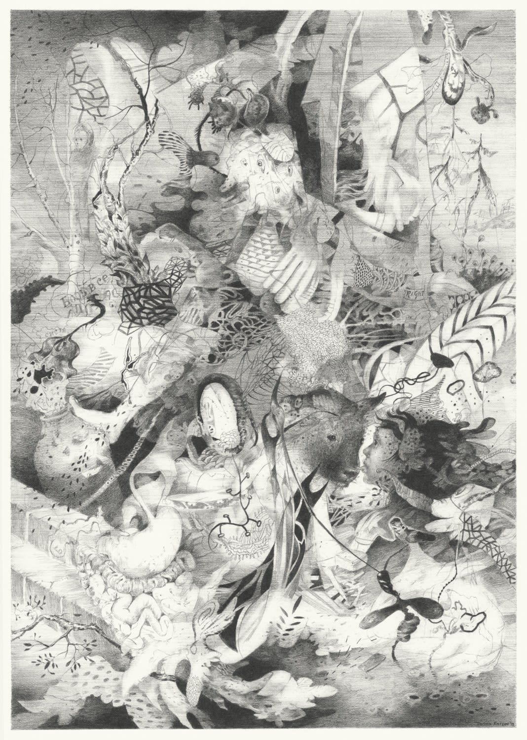 Darina Karpov, Garden, 2013