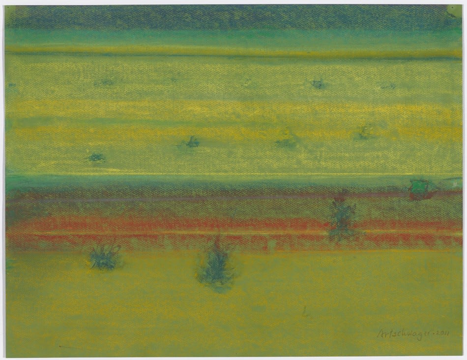 Richard Artschwager, Landscape with Bushes, 2011
